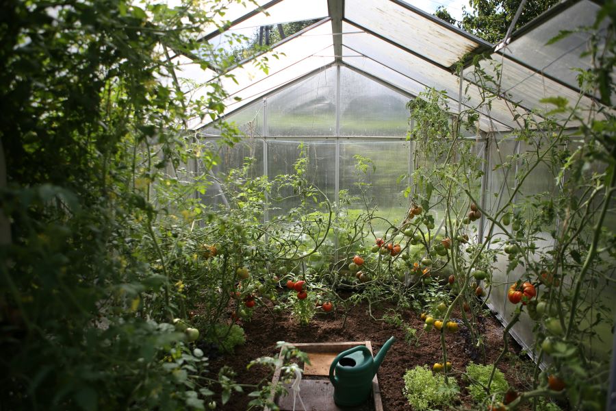 greentown 2