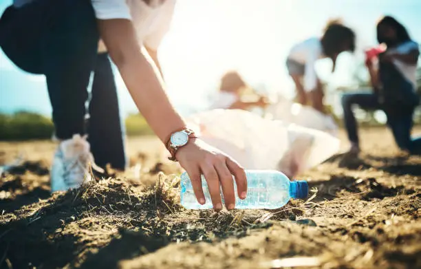 Activitatea Ecologică a Clasei a 9-a în Săptămâna Verde